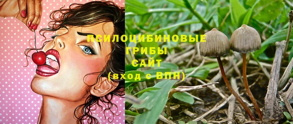 спайс Абаза